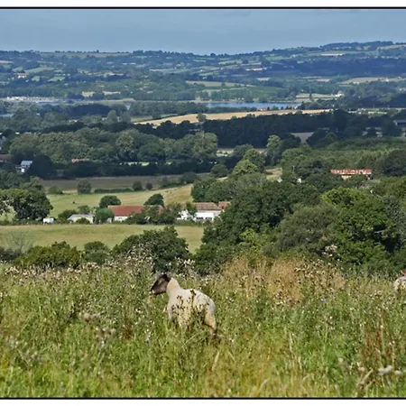 Converted Farm Buildings In 250-acre Nature Reserv Bristol